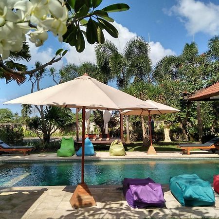 Hotel Premier Surf Camp Canggu Exterior foto